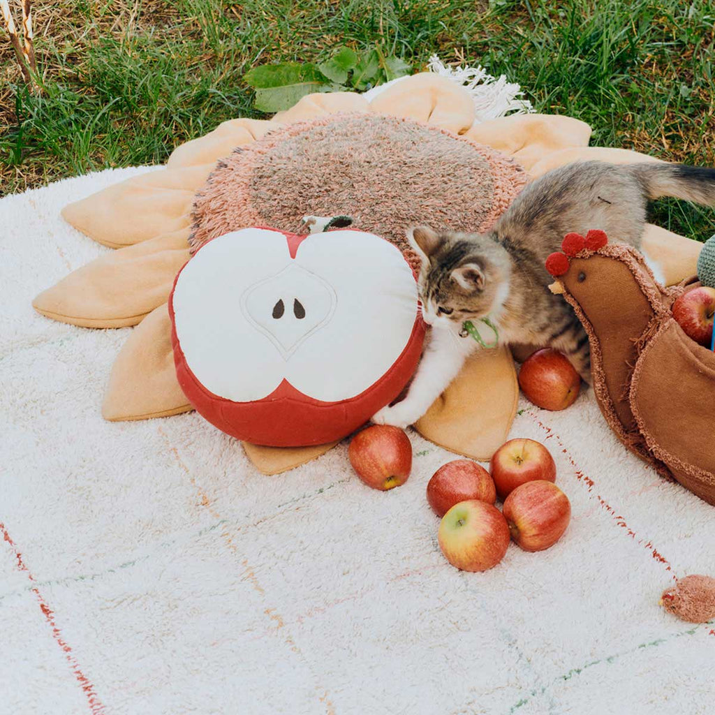 Almofada Apple Farm 30 x 30 cm - Lorena Canals