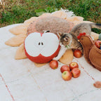 Almofada Apple Farm 30 x 30 cm - Lorena Canals